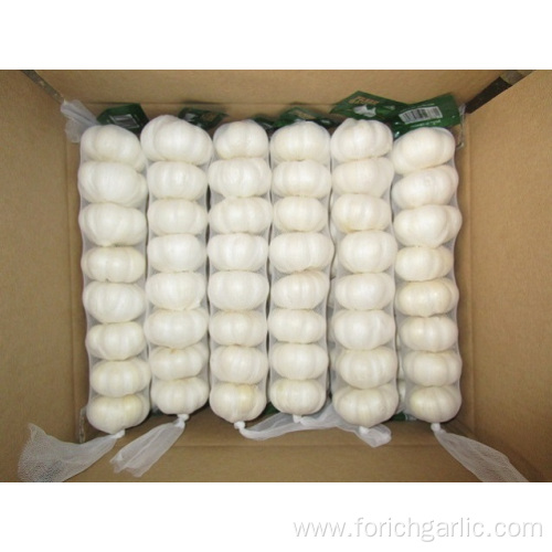 Pure White Garlic In Small Mesh Bag